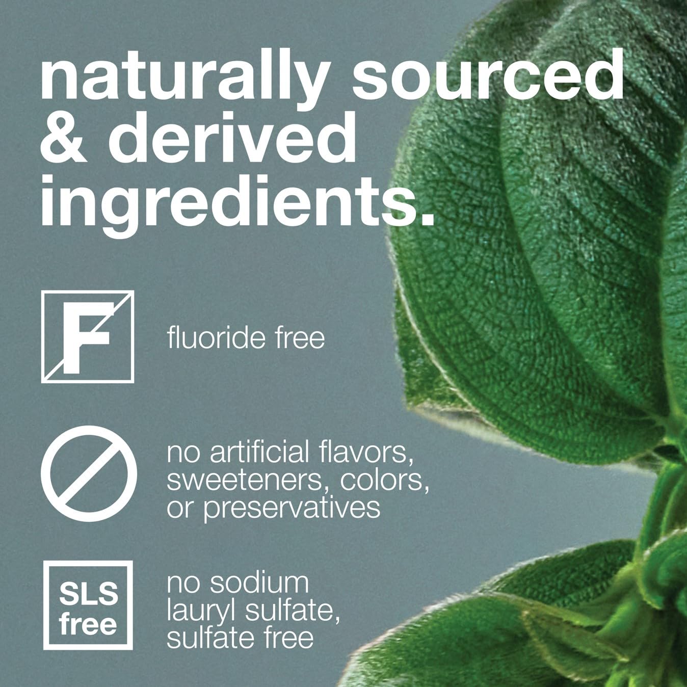 Packaging of Davids Fluoride Free Toothpaste 5.25oz