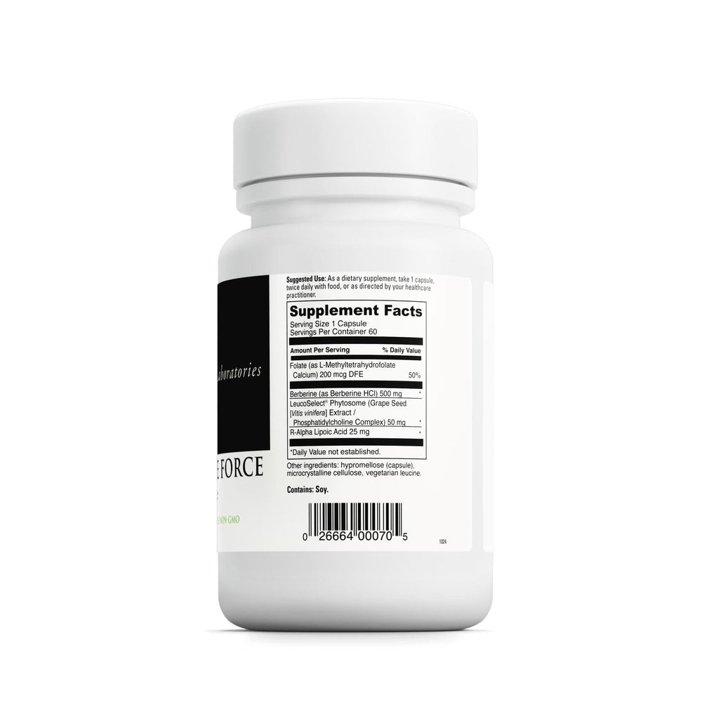 Graphic illustrating GLP-1 support