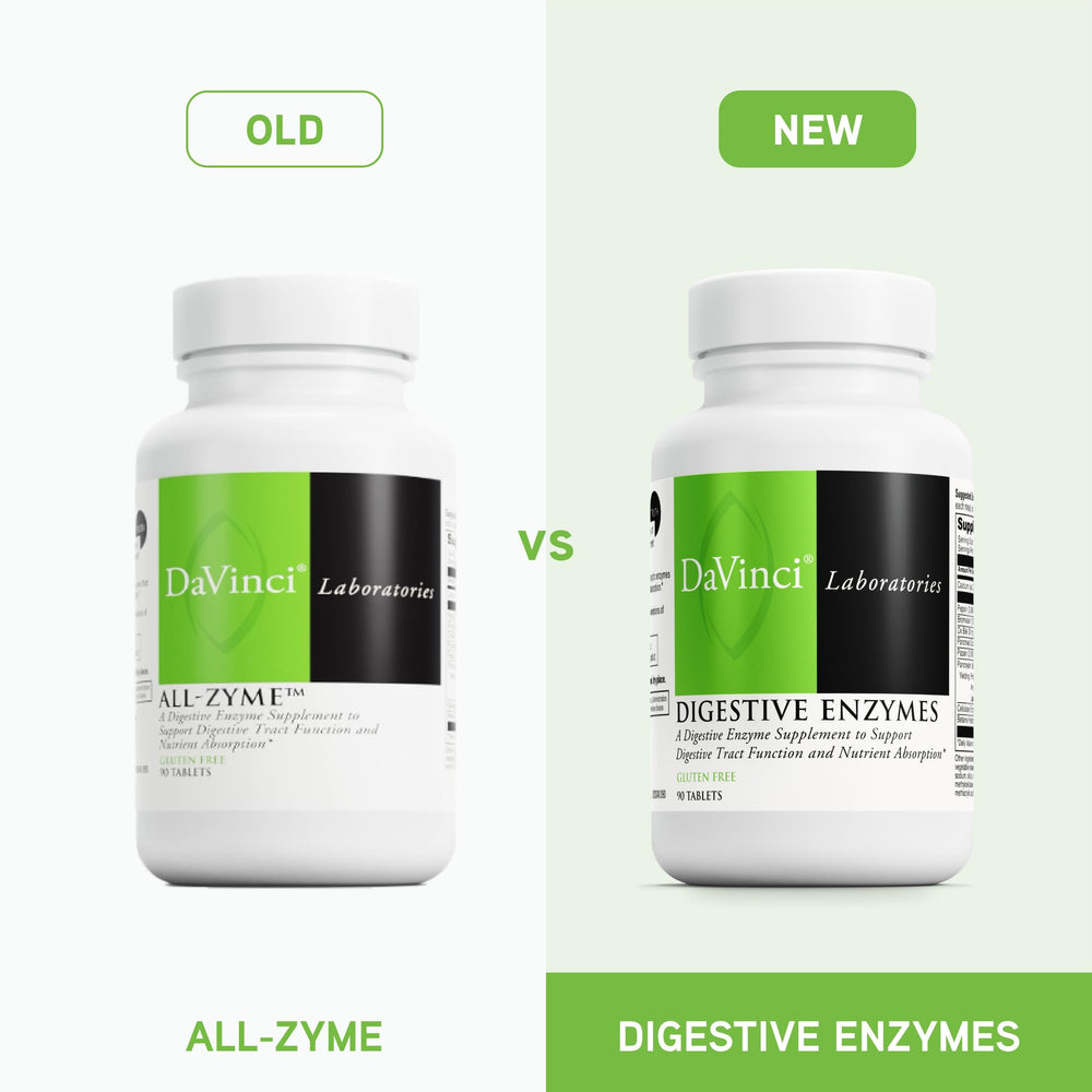 Digestive system illustration showing nutrient absorption support