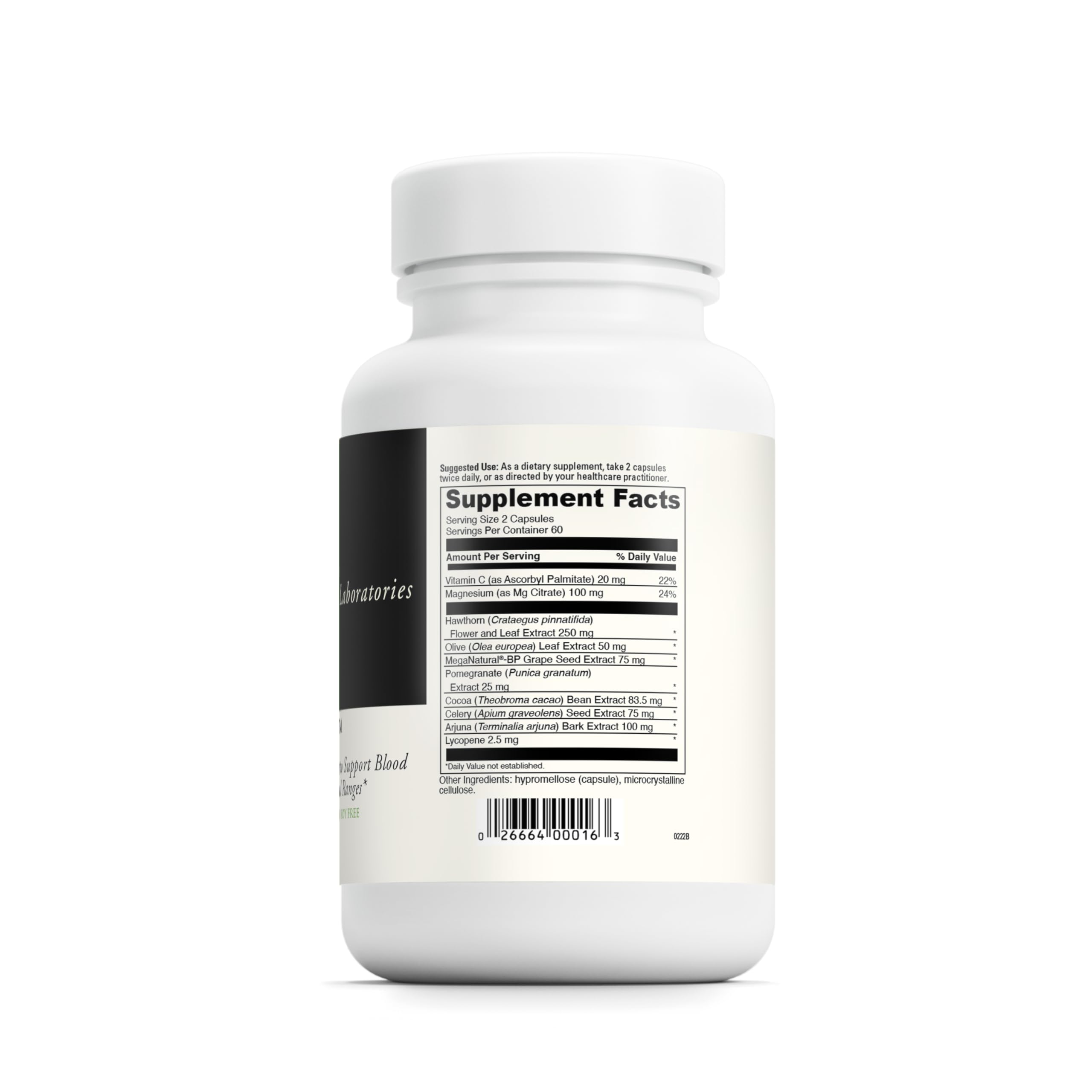 Arjuna, Celery Seed Extract and Cocoa Bean Extract imagery representing BP Elite ingredients