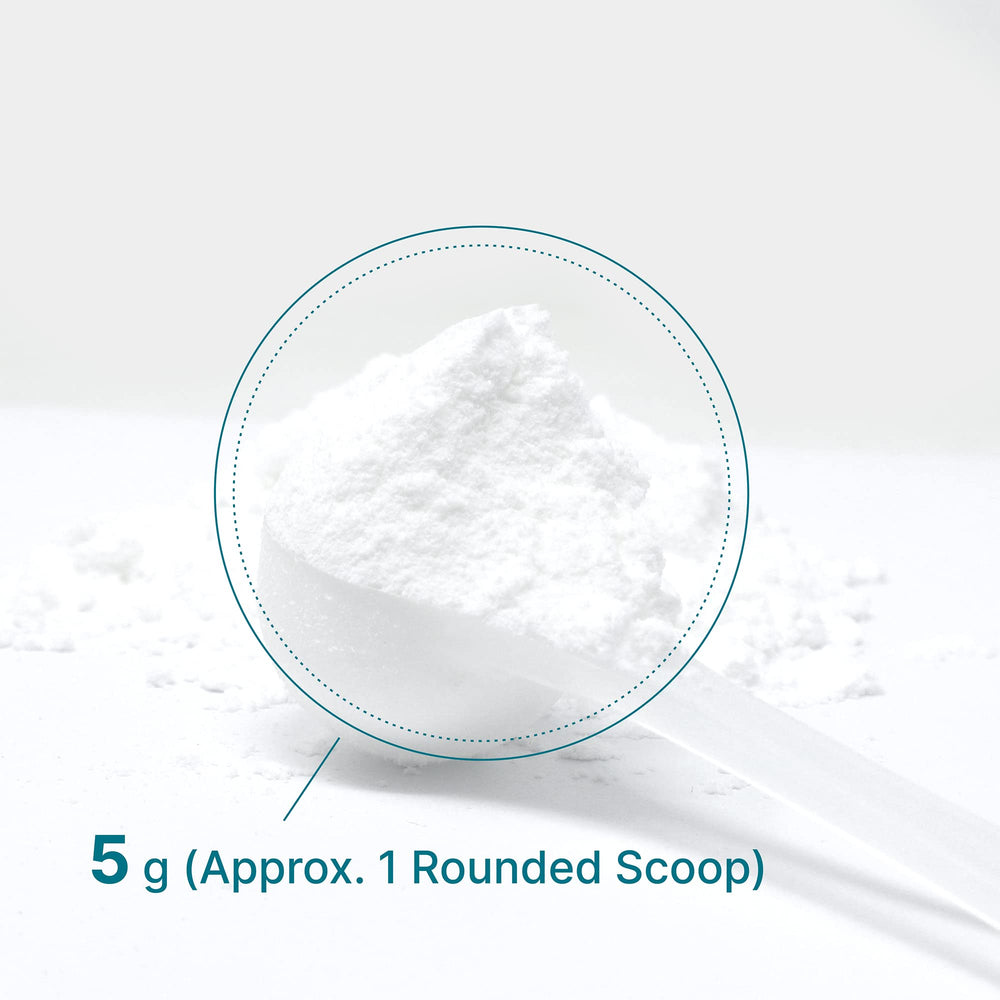 Micronized creatine monohydrate powder close-up