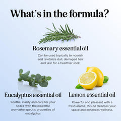 Diffuser setup with Defend Cleaning Essential Oil Blend