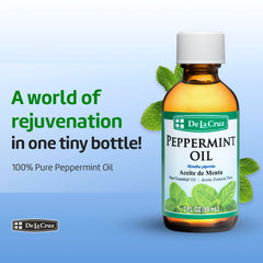 Peppermint leaves used for steam distillation