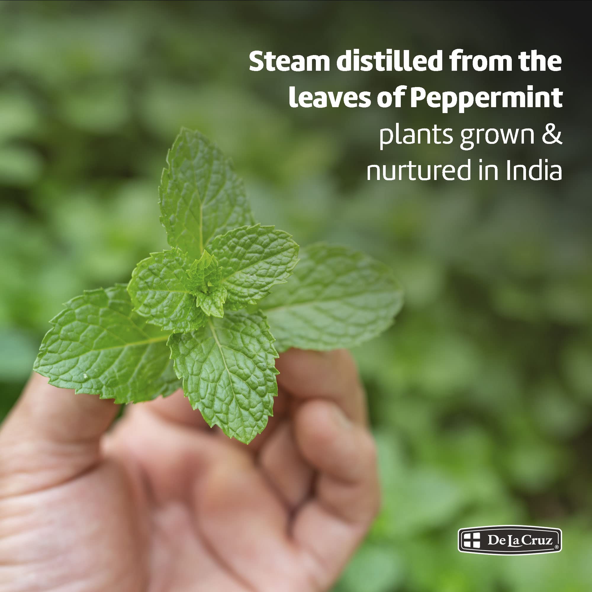 Dropper bottle with peppermint essential oil