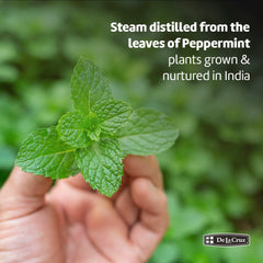 Dropper bottle with peppermint essential oil