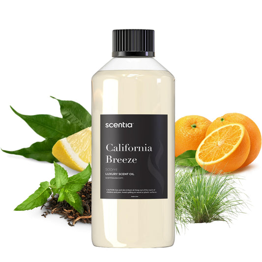 Delano Beach Club inspired fragrance for diffusers