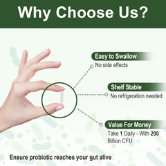 Delayed-release probiotic capsule