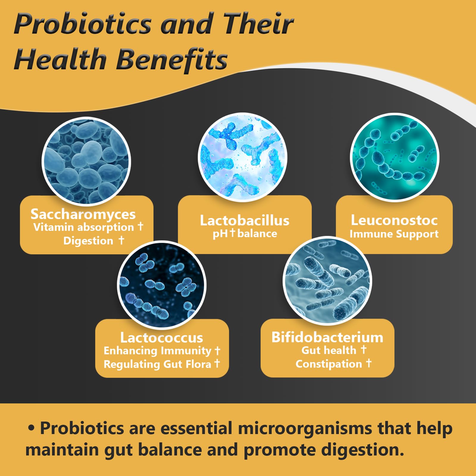 Delayed-release probiotic capsules with digestive enzymes