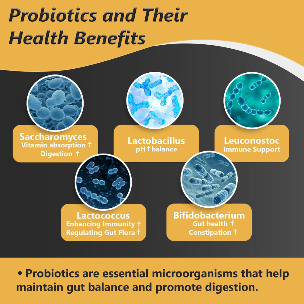 Delayed-release probiotic capsules with digestive enzymes