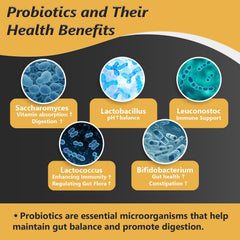 Delayed-release probiotic capsules with digestive enzymes