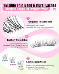 Delyneph 12mm lashes provide gentle lift for everyday definition