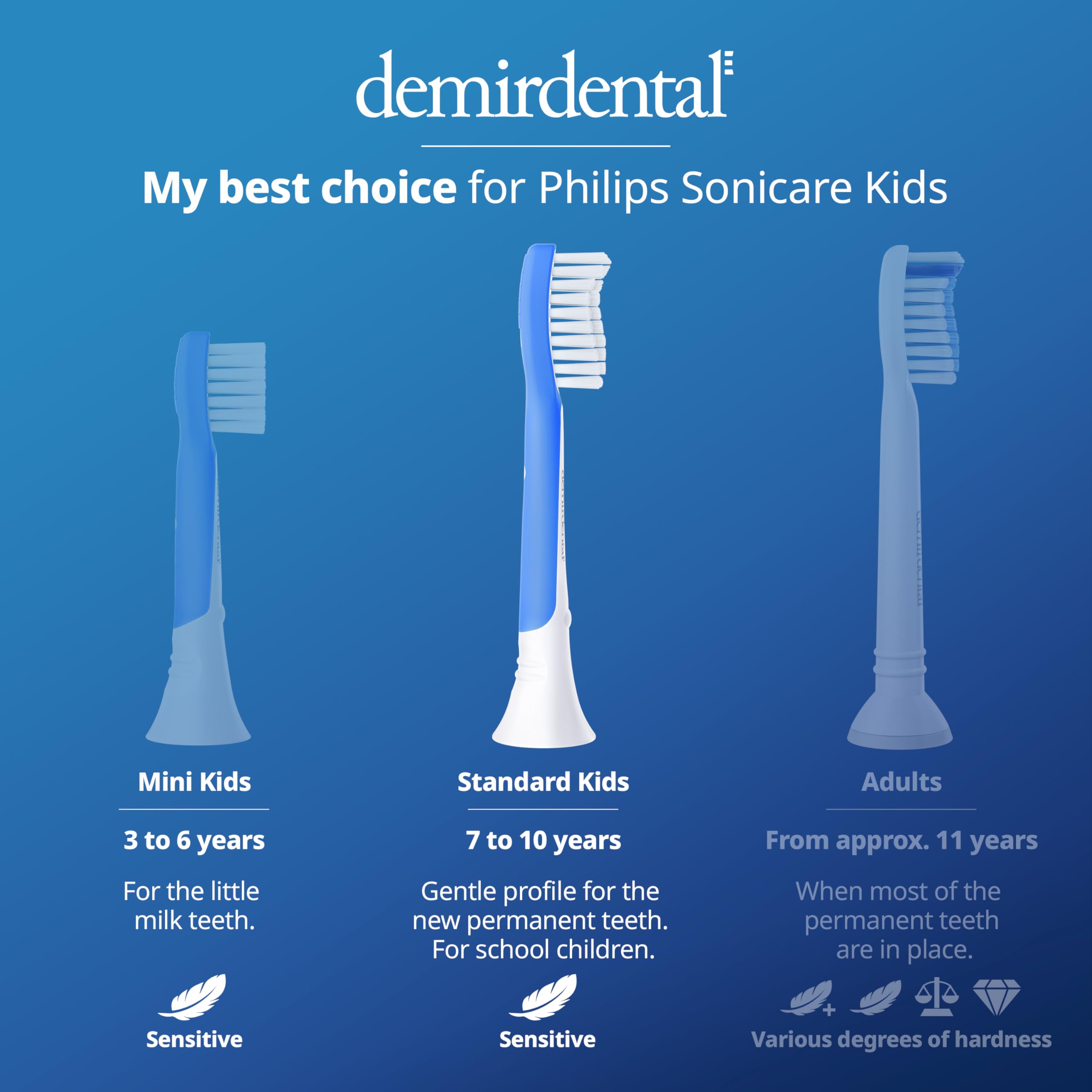 Packaging and branding for Demirdental replacement heads