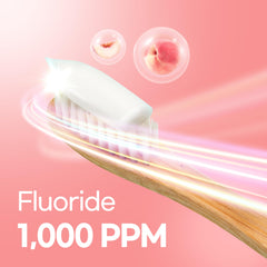 Silica particles removing dental plaque illustration