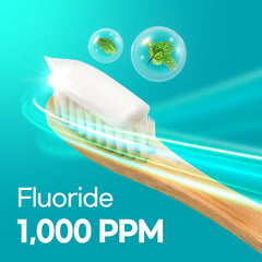 Close-up of toothpaste label showing Herbal Mint and fluoride information