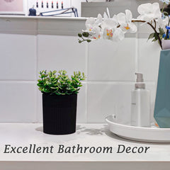 Decorative eucalyptus pot complemented by home decor