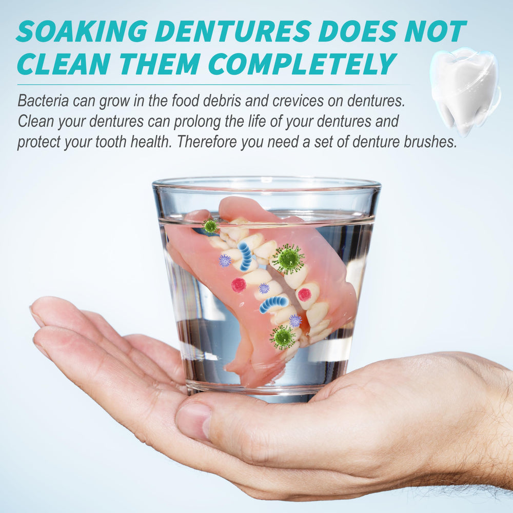 Portable travel case with six denture brushes