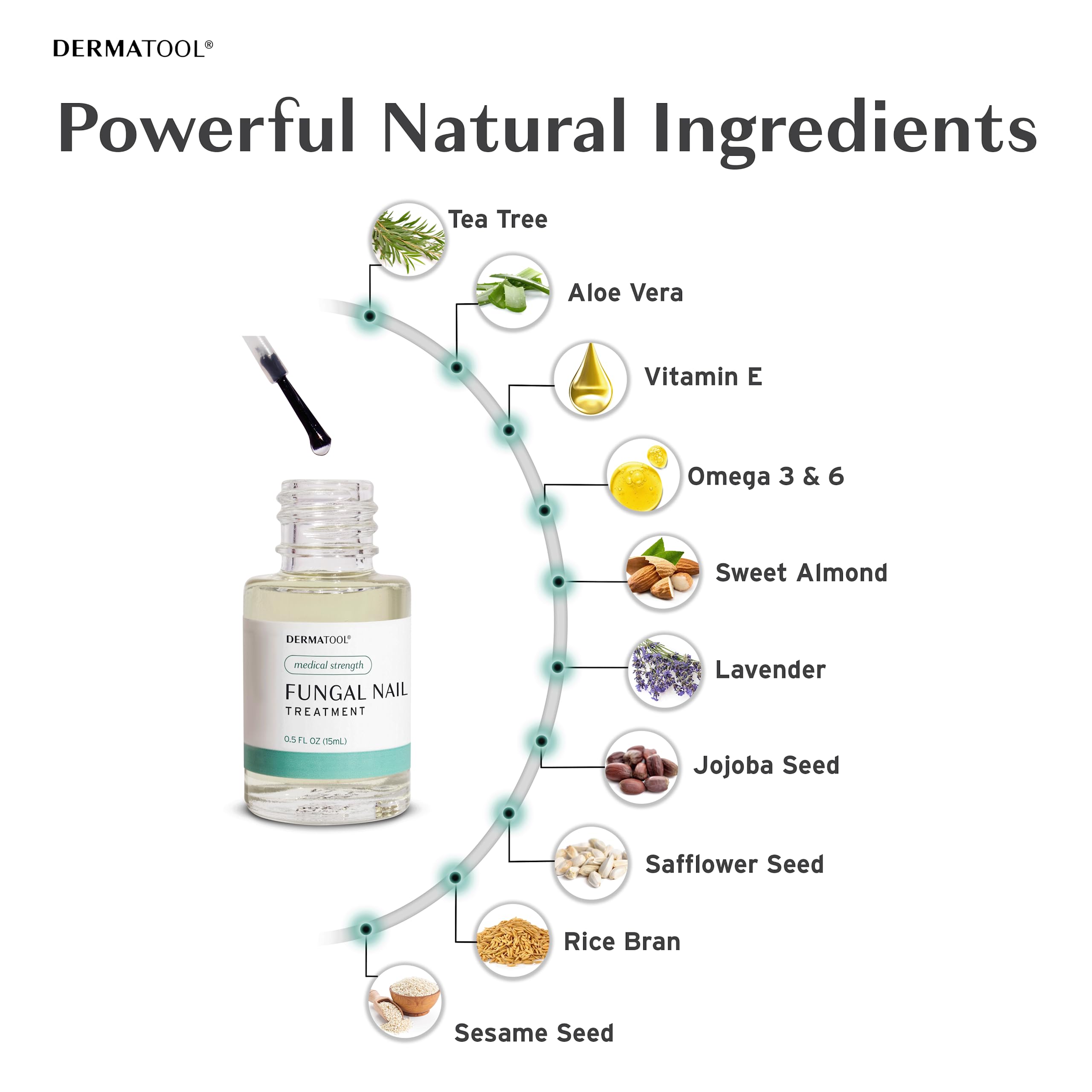 DERMATOOL tea tree and vitamins highlights natural ingredients supporting healthy nail appearance.