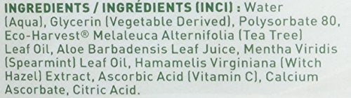 Two-bottle Desert Essence Tea Tree Oil Mouthwash 16 oz in a 2-pack display