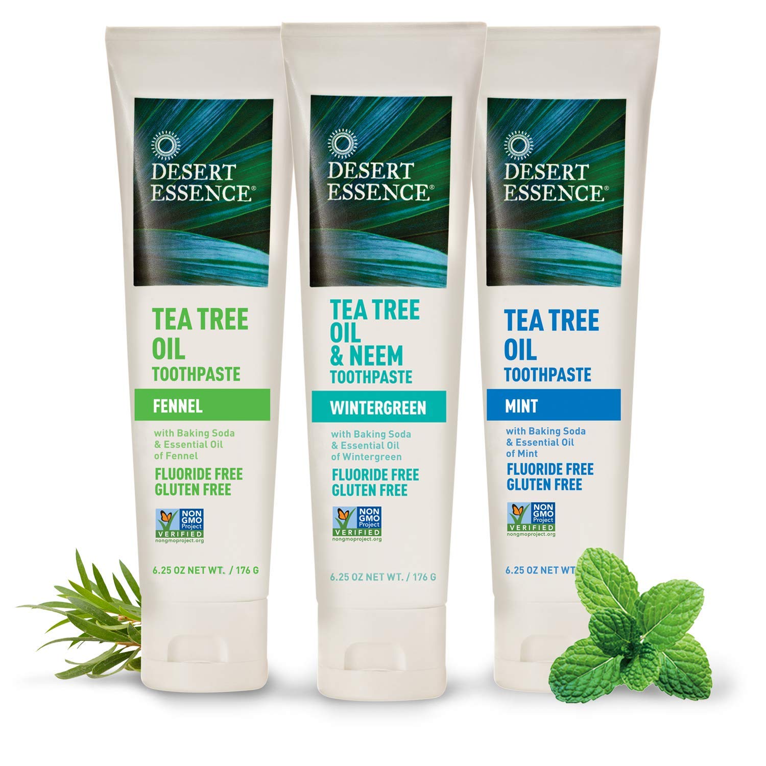 Healthy mouth care with Desert Essence Tea Tree Oil Toothpaste Mint