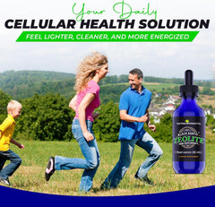 Detox, gut health and immune support theme image