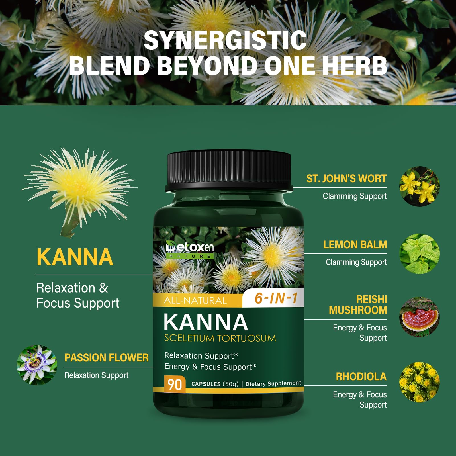 Energy and focus support with Reishi Mushroom and Rhodiola