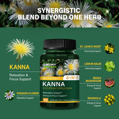 Energy and focus support with Reishi Mushroom and Rhodiola