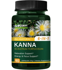 DetoxenNATURE Kanna Extract Power Capsules 90-count bottle – hero
