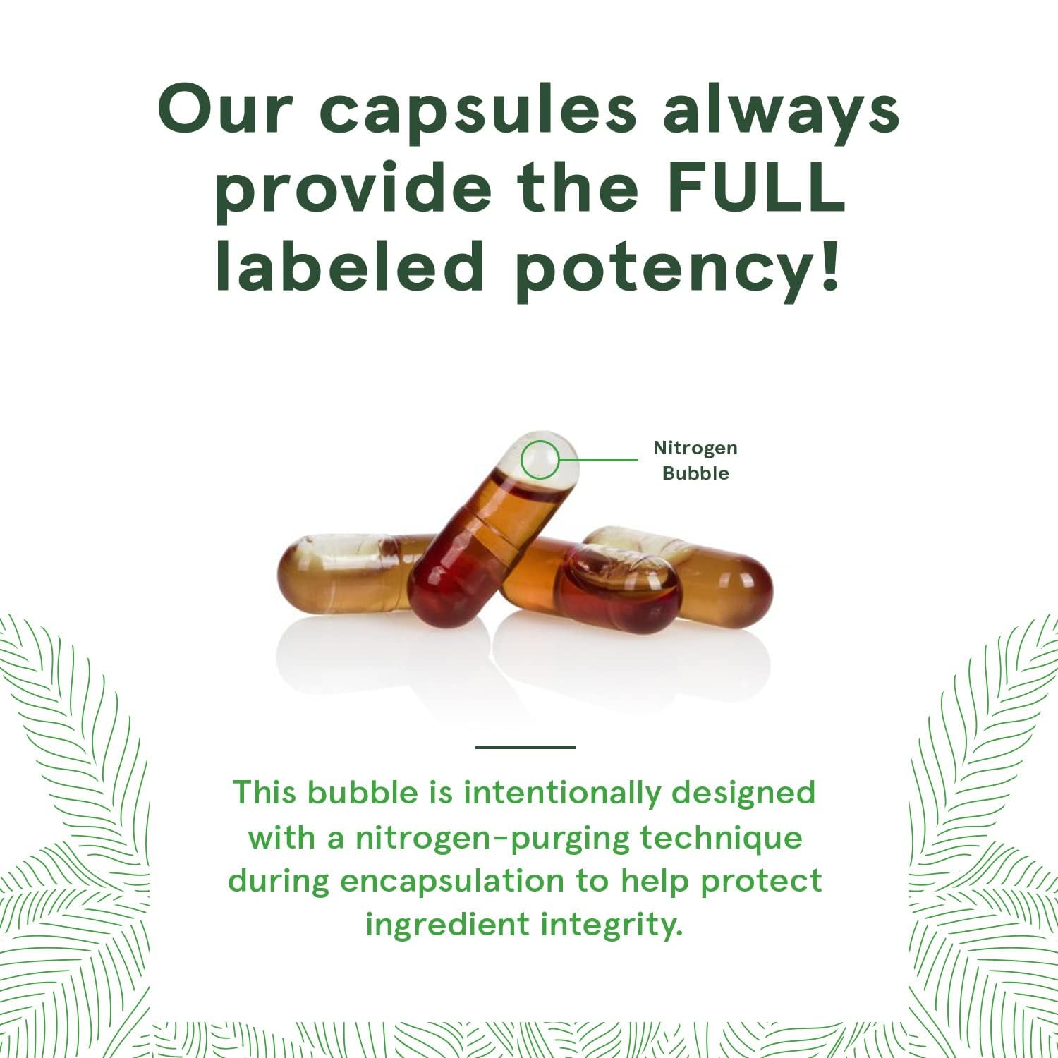 Lifestyle shot of vegan supplement bottles on white background