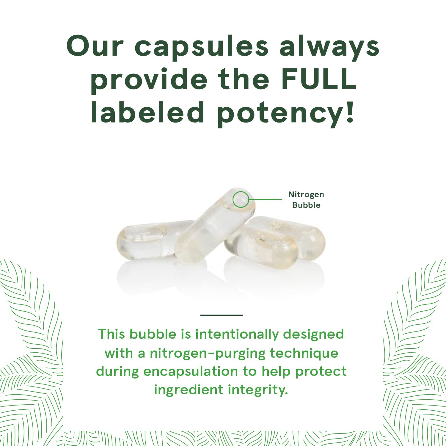 Vegan Society certified vegan CLA supplement