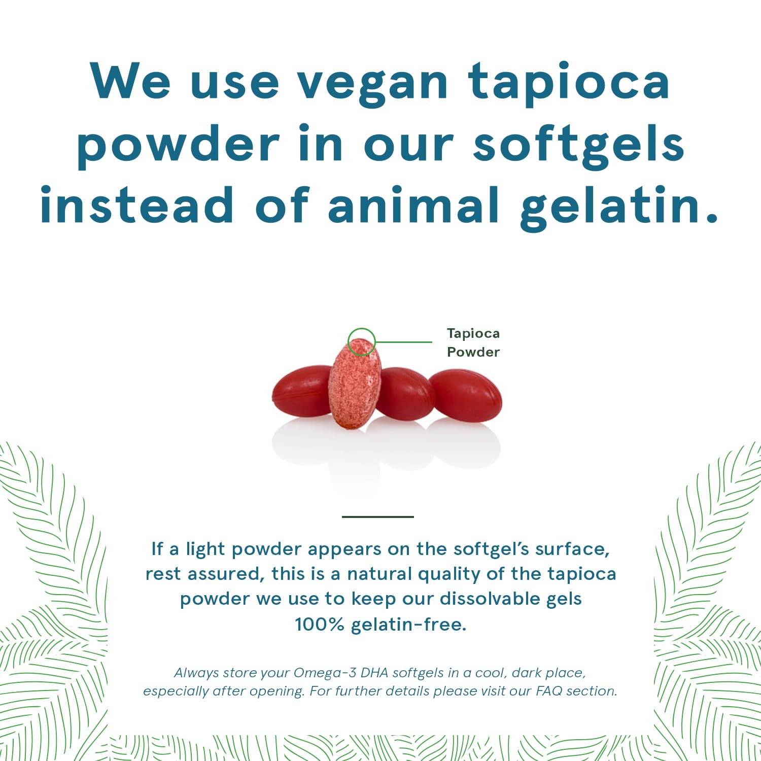 Close-up of algae-derived DHA softgel capsule