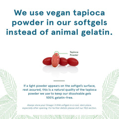 Close-up of algae-derived DHA softgel capsule