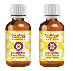 dève herbes Calamus Essential Oil 15ml in amber glass bottle