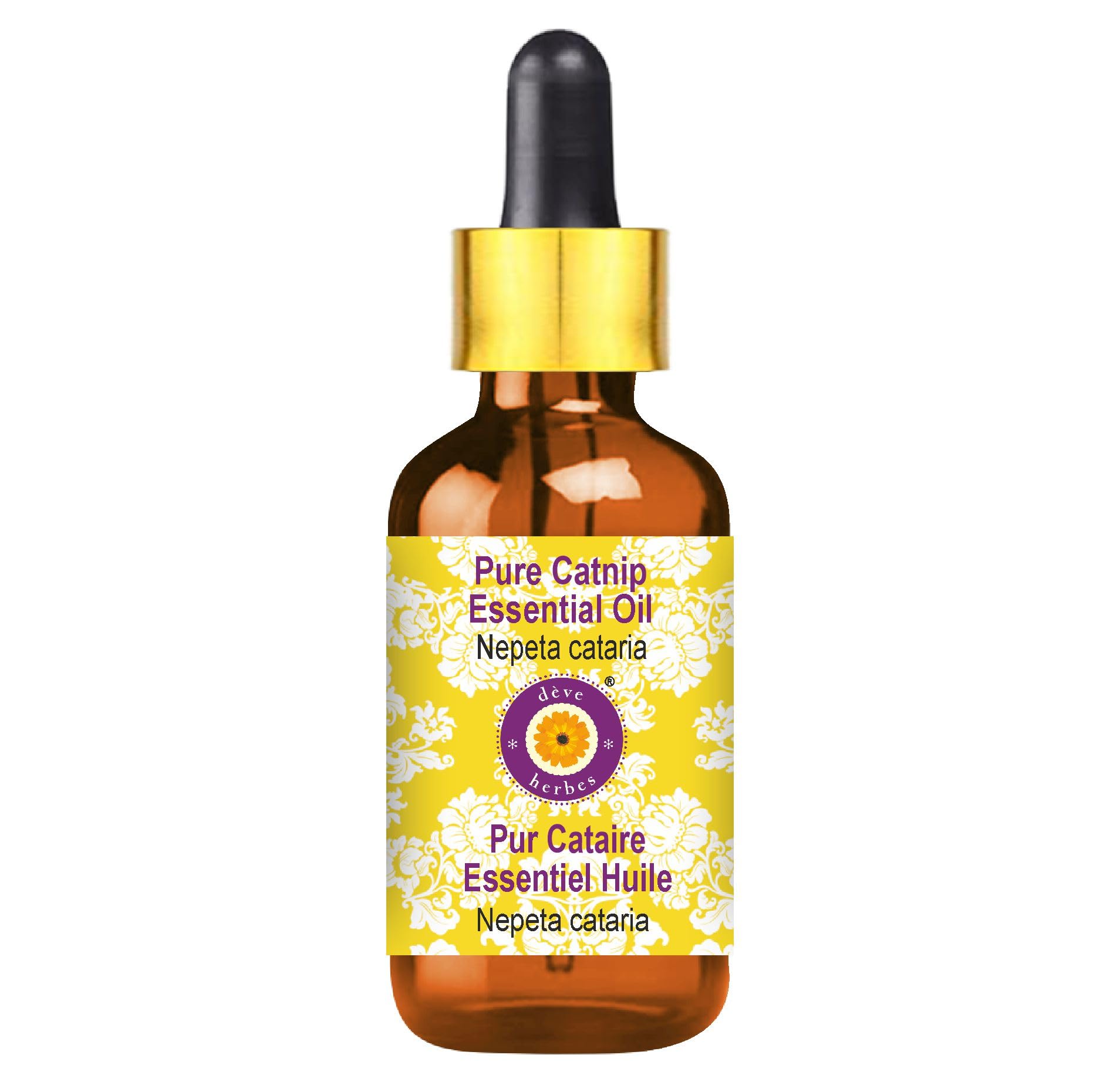 5ml amber glass bottle with glass dropper of Catnip Essential Oil