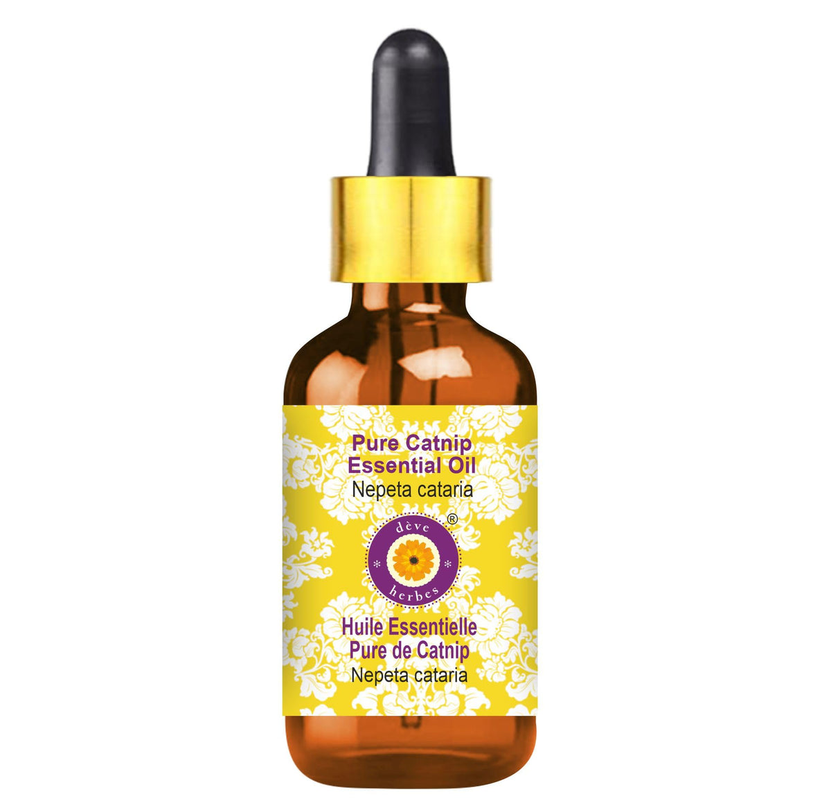 Catnip essential oil in 100ml amber bottle with dropper