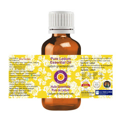 Ledum groenlandicum essential oil bottle close-up