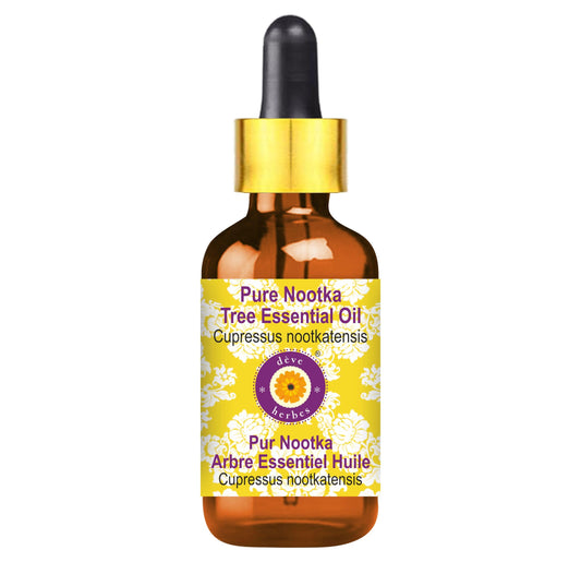Nootka Tree Essential Oil 5ml amber bottle with glass dropper
