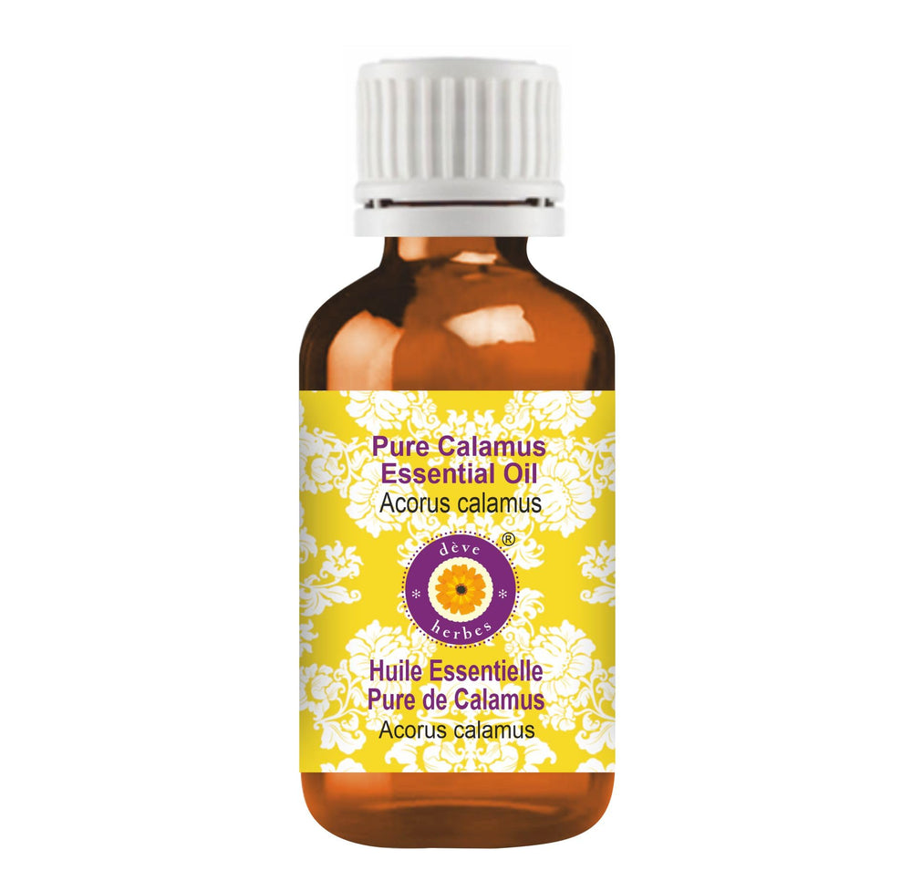 Deve Herbes Pure Calamus Essential Oil 10ml bottle