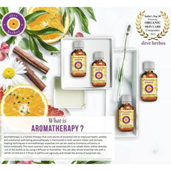 Steam distilled Kokila essential oil from Cinnamomum glaucescens - 30ml