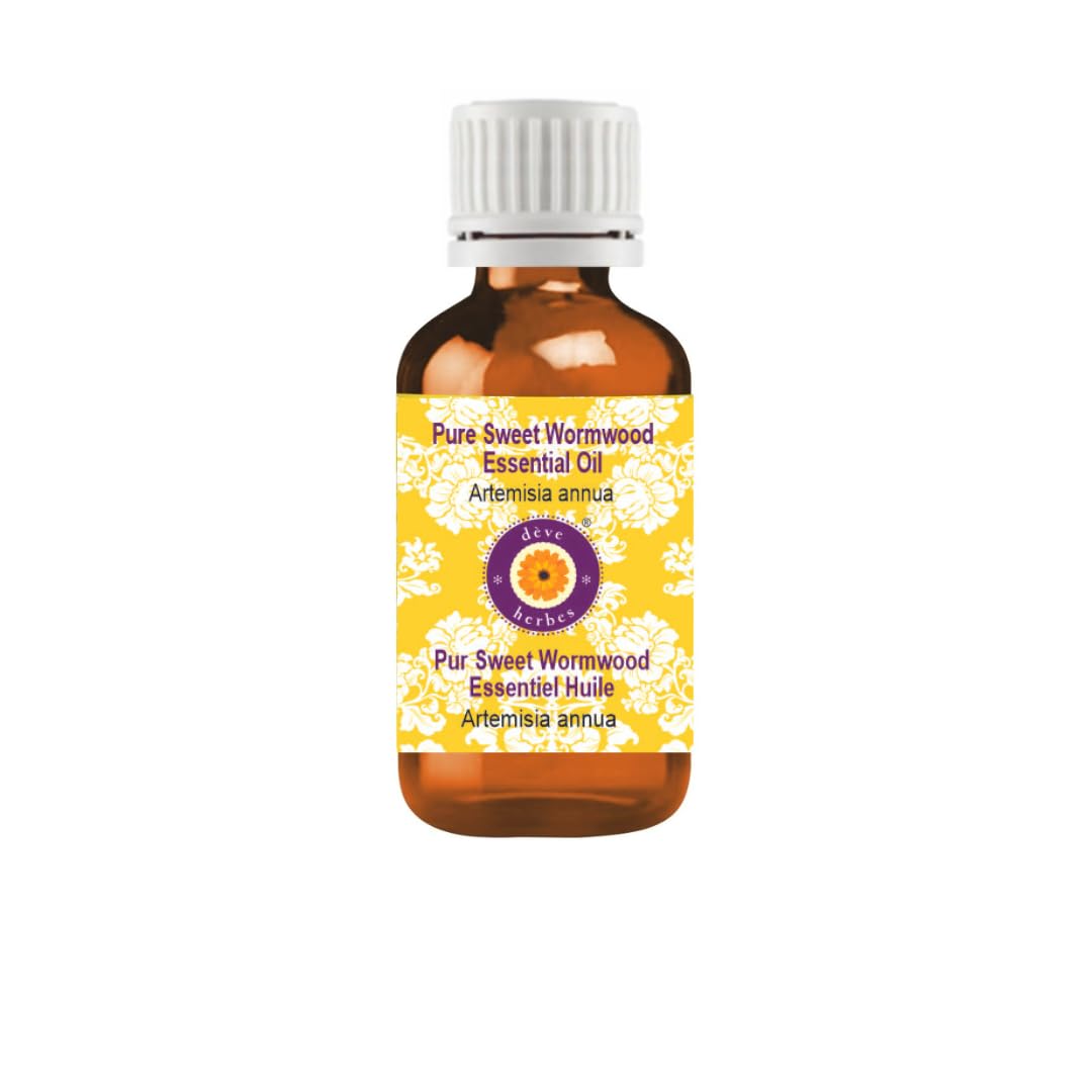 Sweet Wormwood Essential Oil in a 30ml amber glass bottle