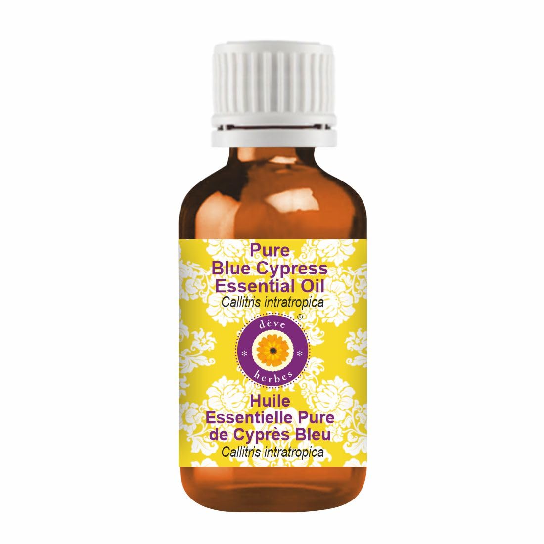 Blue Cypress Essential Oil 50ml amber glass bottle