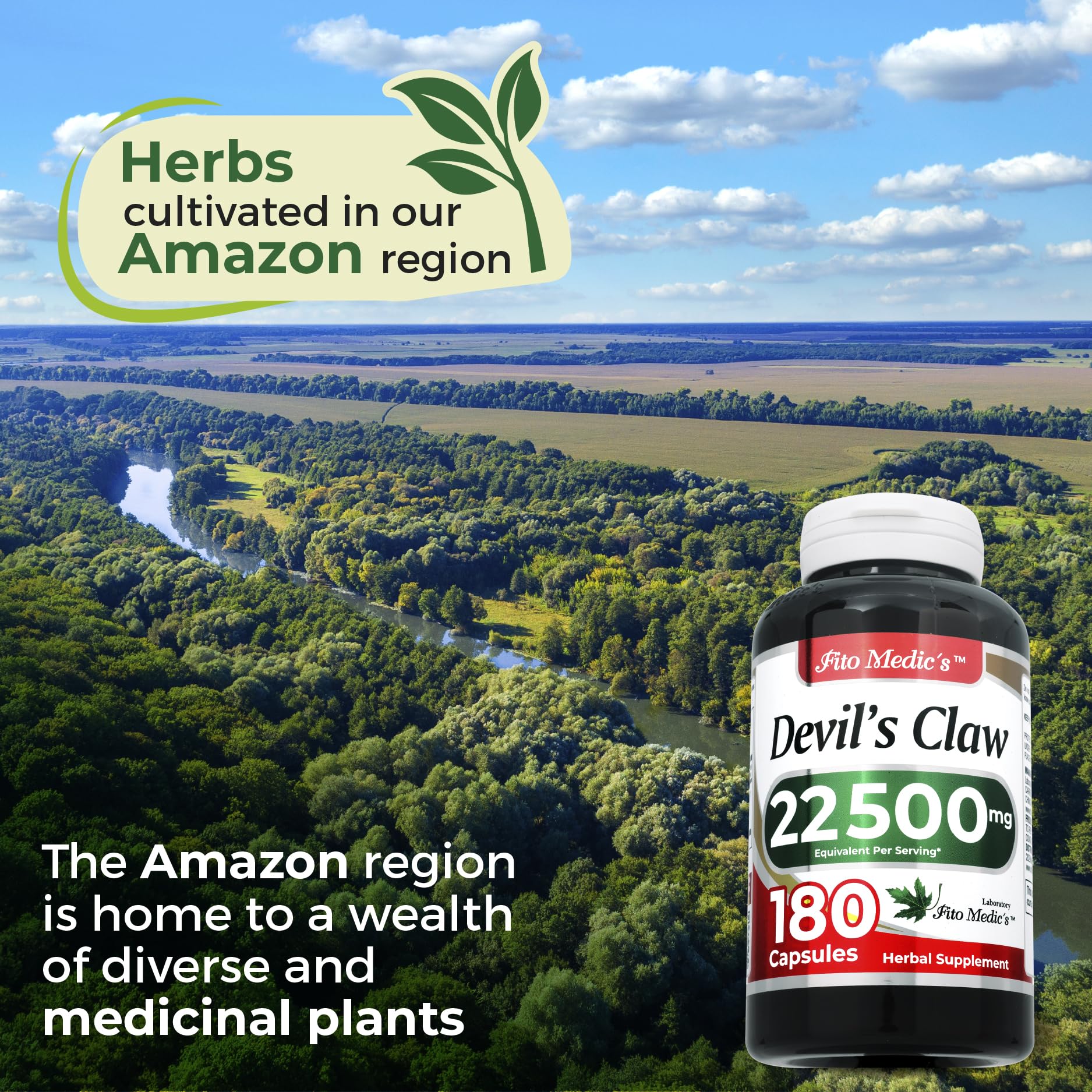 Devil's Claw extract powder illustrating ultra absorption formula