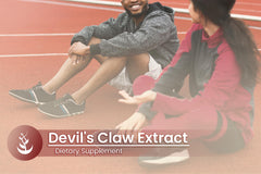 Lab verification badge for Devil's Claw Extract