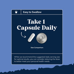 Fertility and hormonal balance concept with capsules