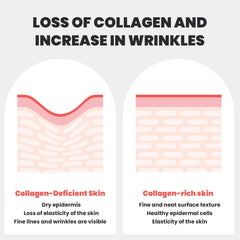 Dianzan hyaluronic-acid focus signals deep hydration and skin comfort.