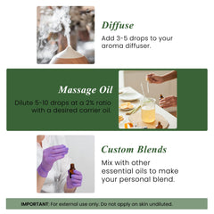 Cypress essential oil used in a diffuser for aromatherapy