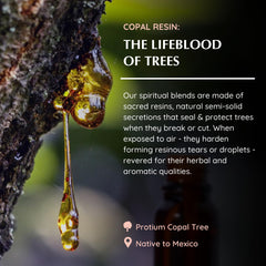 Diffuser setup and ritual ambiance with Copal aroma