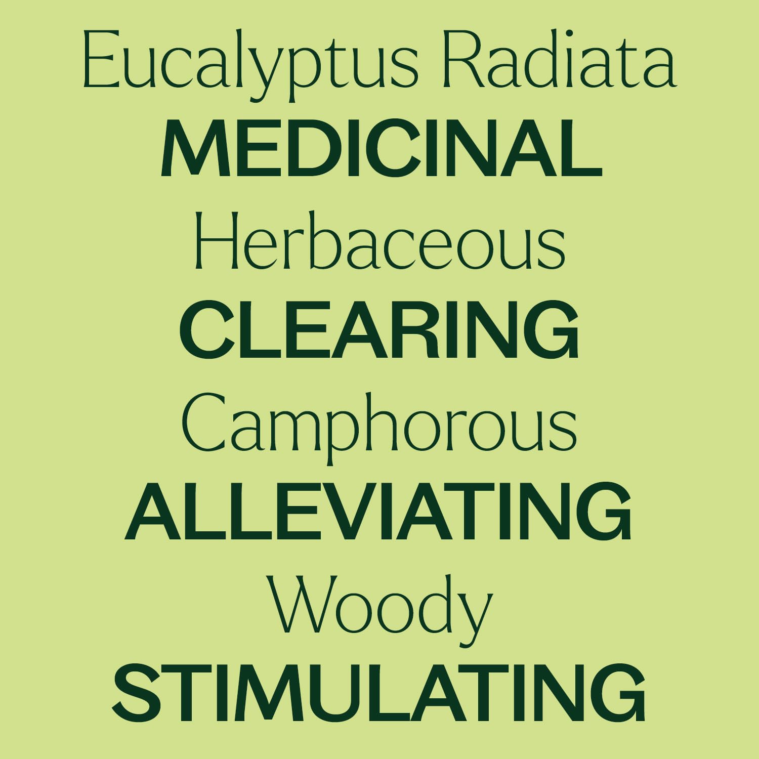Diffuser with Eucalyptus Radiata essential oil