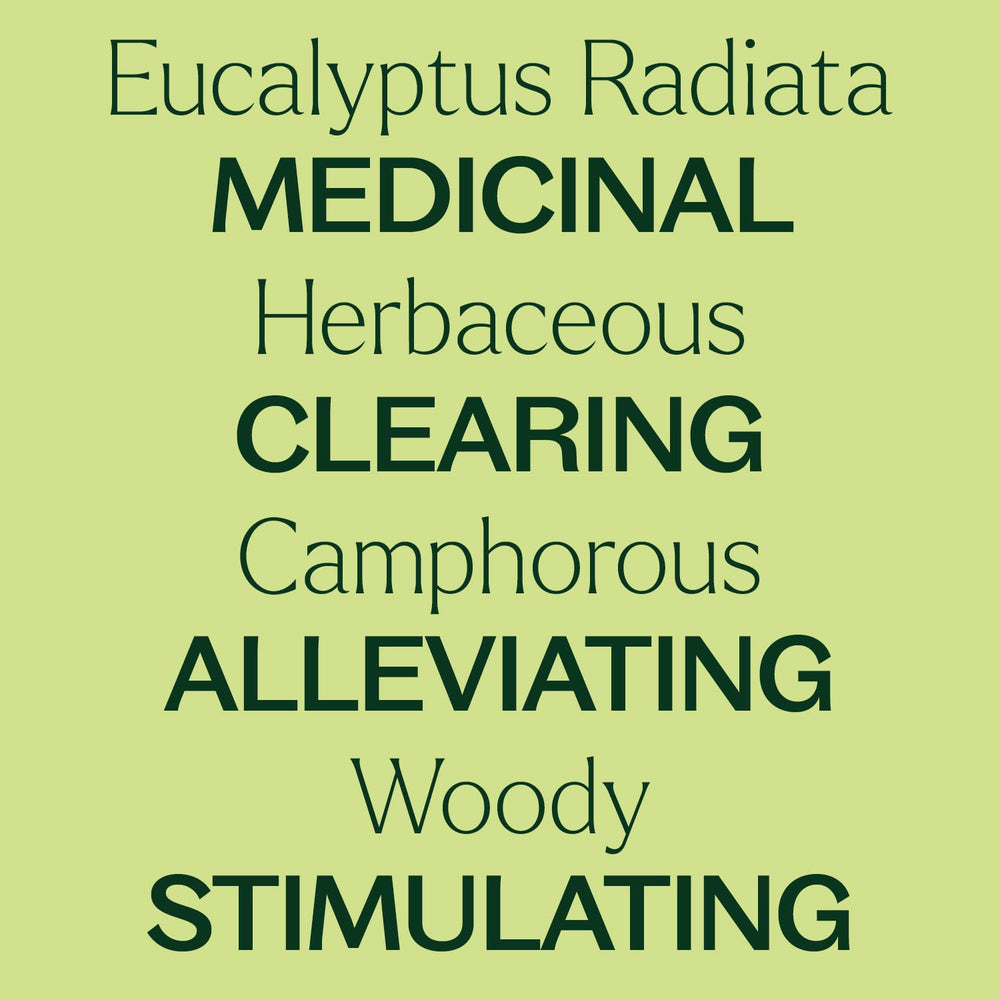 Diffuser with Eucalyptus Radiata essential oil