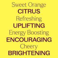 Diffuser releasing aroma of Sweet Orange essential oil