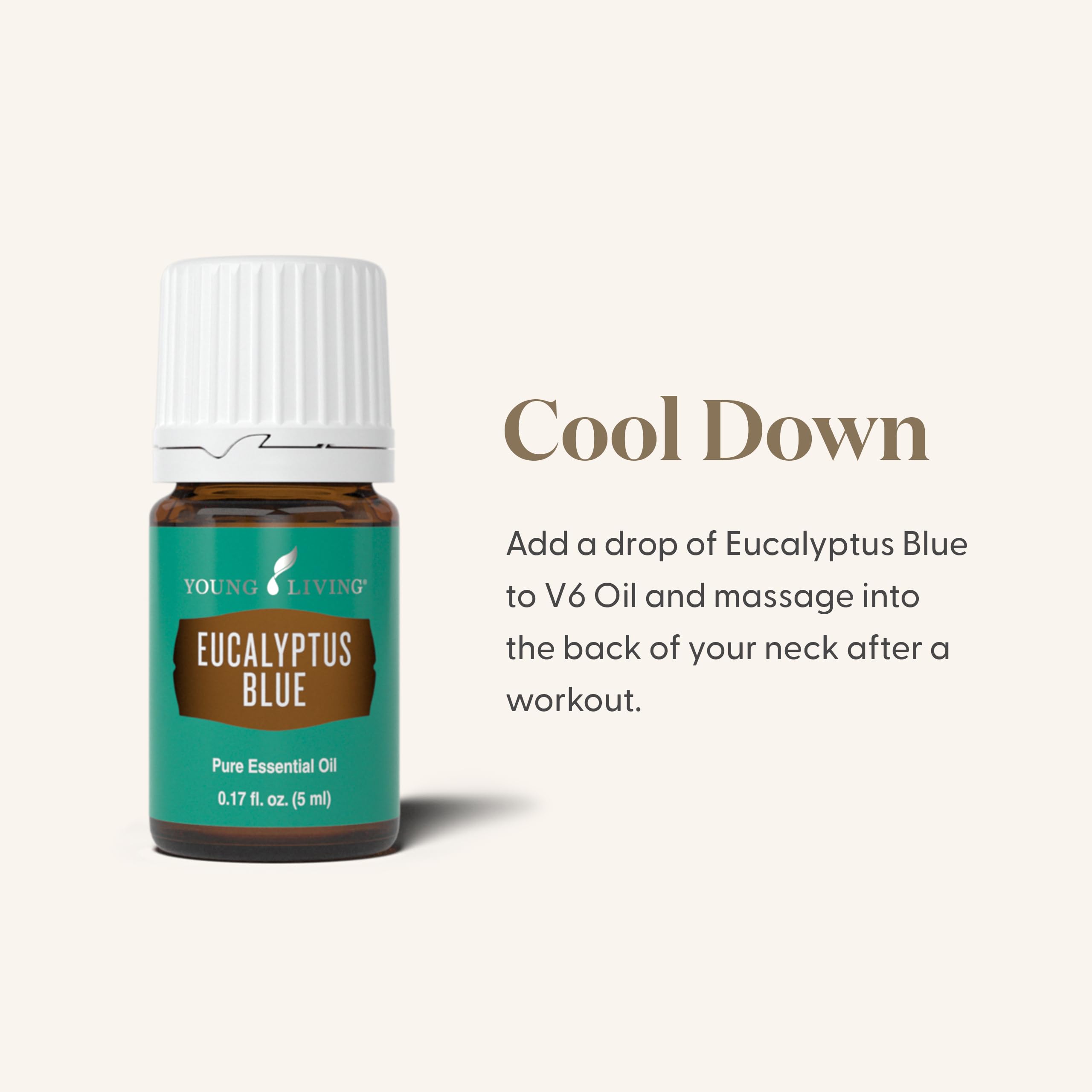 Diffuser releasing Eucalyptus Blue aroma